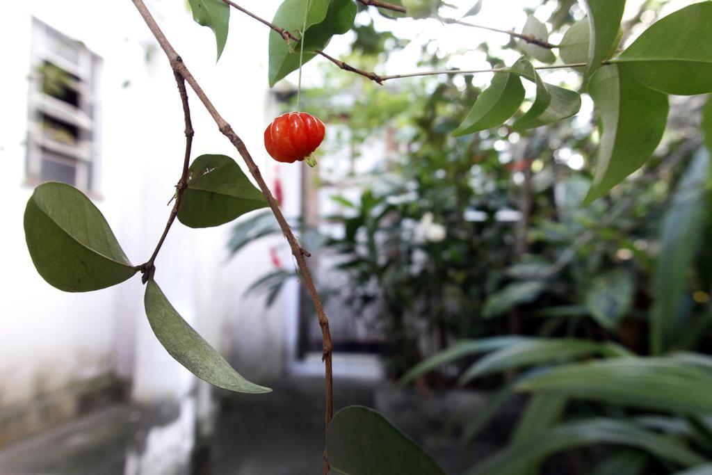 Casa Em Meio A Natureza - Ideal Para Casal Rio de Janeiro Buitenkant foto